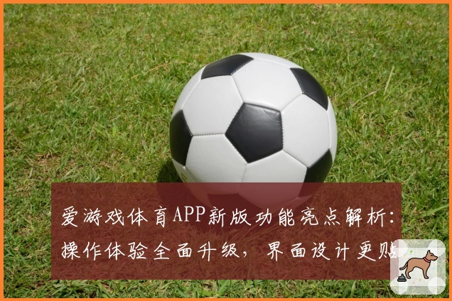 爱游戏体育APP新版功能亮点解析：操作体验全面升级，界面设计更贴心